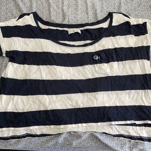 Gilly Hicks crop top